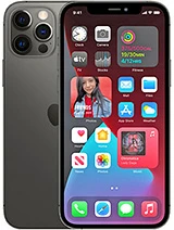 iPhone 12 Pro — model reference photo; color may vary