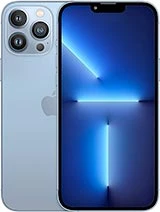 iPhone 13 Pro Max — model reference photo; color may vary